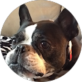 P J profile picture