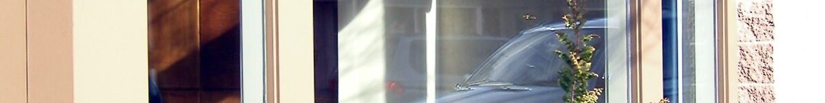 Why Storefronts and Small Commercial Properties Don’t Hold Their Appearance Between Cleanings Storefront windows with plants in front